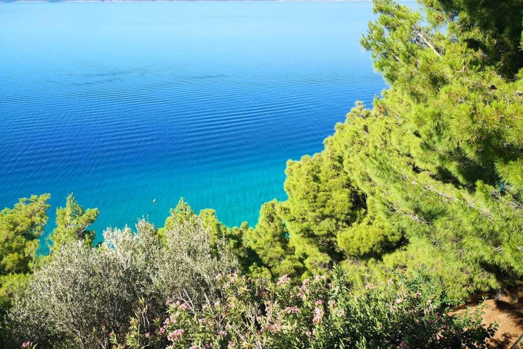 Beautiful Apartment 80 M From The Sea Marusici (Split-Dalmatia) Exterior foto